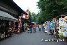 Agroturystyka “Nad Zaporą” 